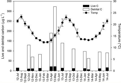 Size Is the Major Determinant of Pumping Rates in Marine Sponges